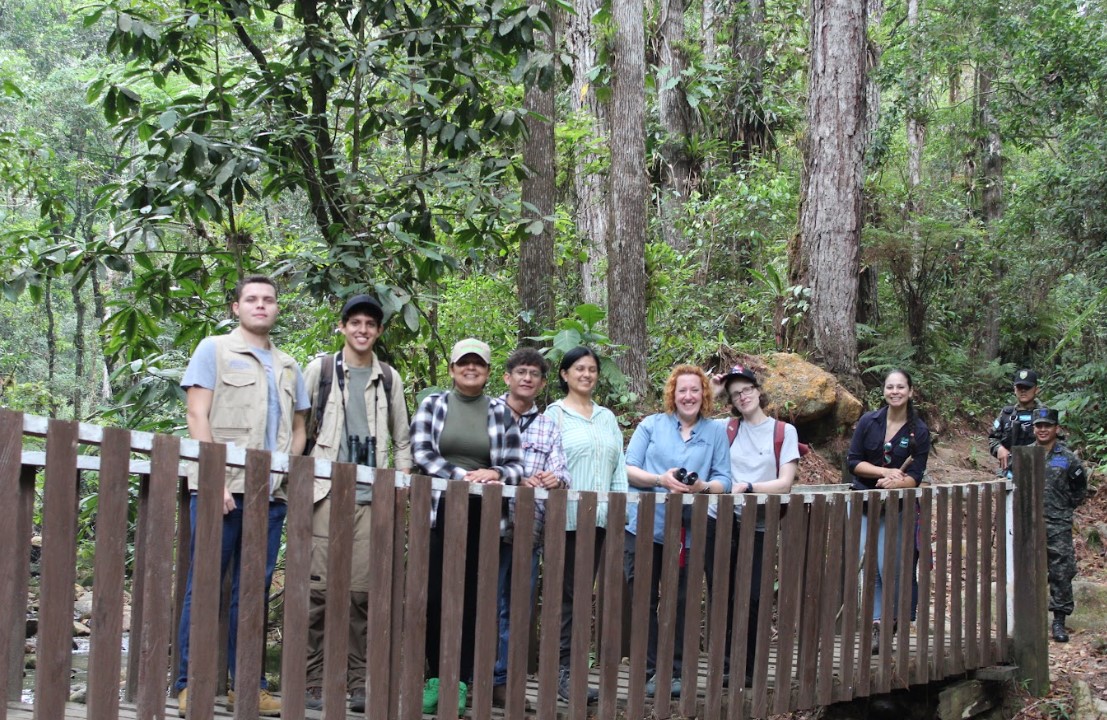 Captura de pantalla 2023-06-12 113359