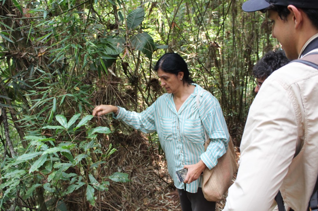 Captura de pantalla 2023-06-12 113456