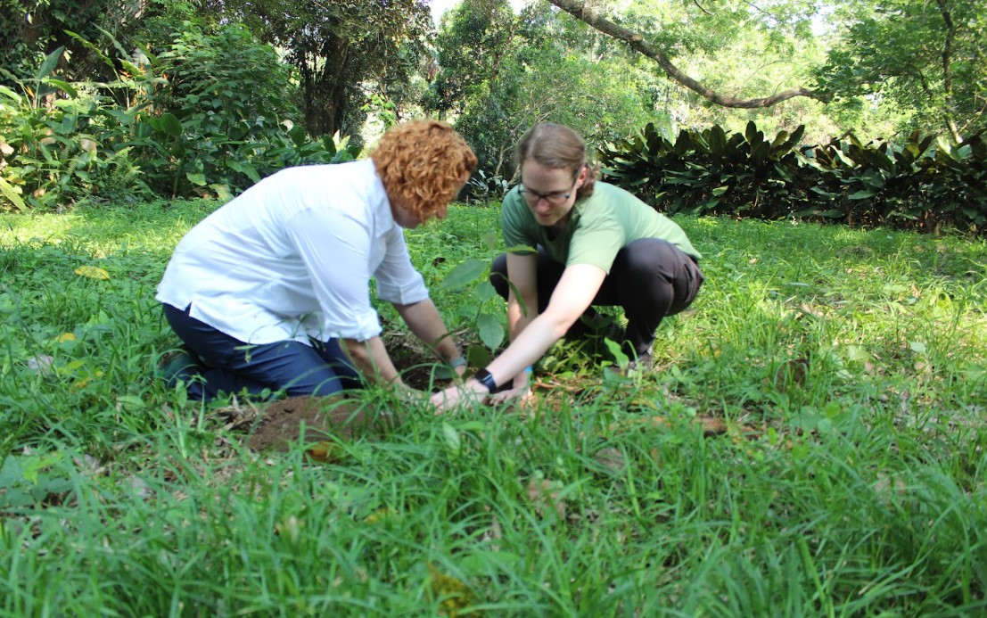 Captura de pantalla 2023-06-12 113843